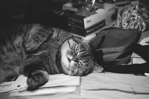 Rollei Superpan 200 120