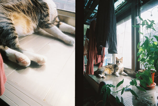 Kodak Ektar H35 Half Frame Film Camera