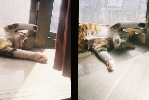 Kodak Ektar H35 Half Frame Film Camera