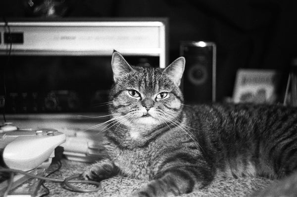 Rollei RPX 400 135-36