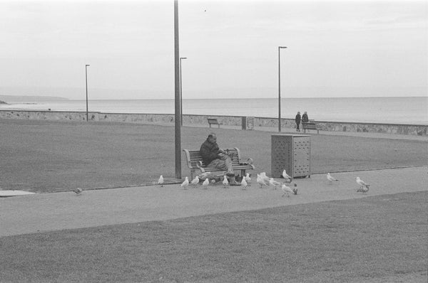 Kodak T-MAX 400 135-36