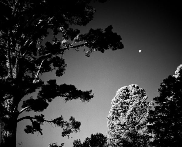 Rollei Infrared 400S 120