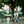 Load image into Gallery viewer, Vandal Daylight 135-36
