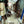 Load image into Gallery viewer, Vandal Daylight 135-36
