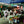 Load image into Gallery viewer, Vandal Daylight 135-36
