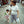 Load image into Gallery viewer, Vandal Daylight 135-36
