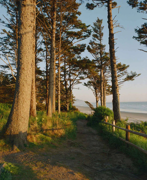 Kodak Ektacolor Pro 800 120 (1 roll)